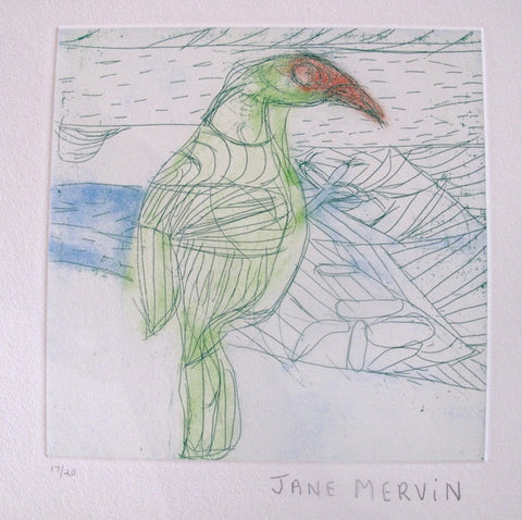 Jane Mervin